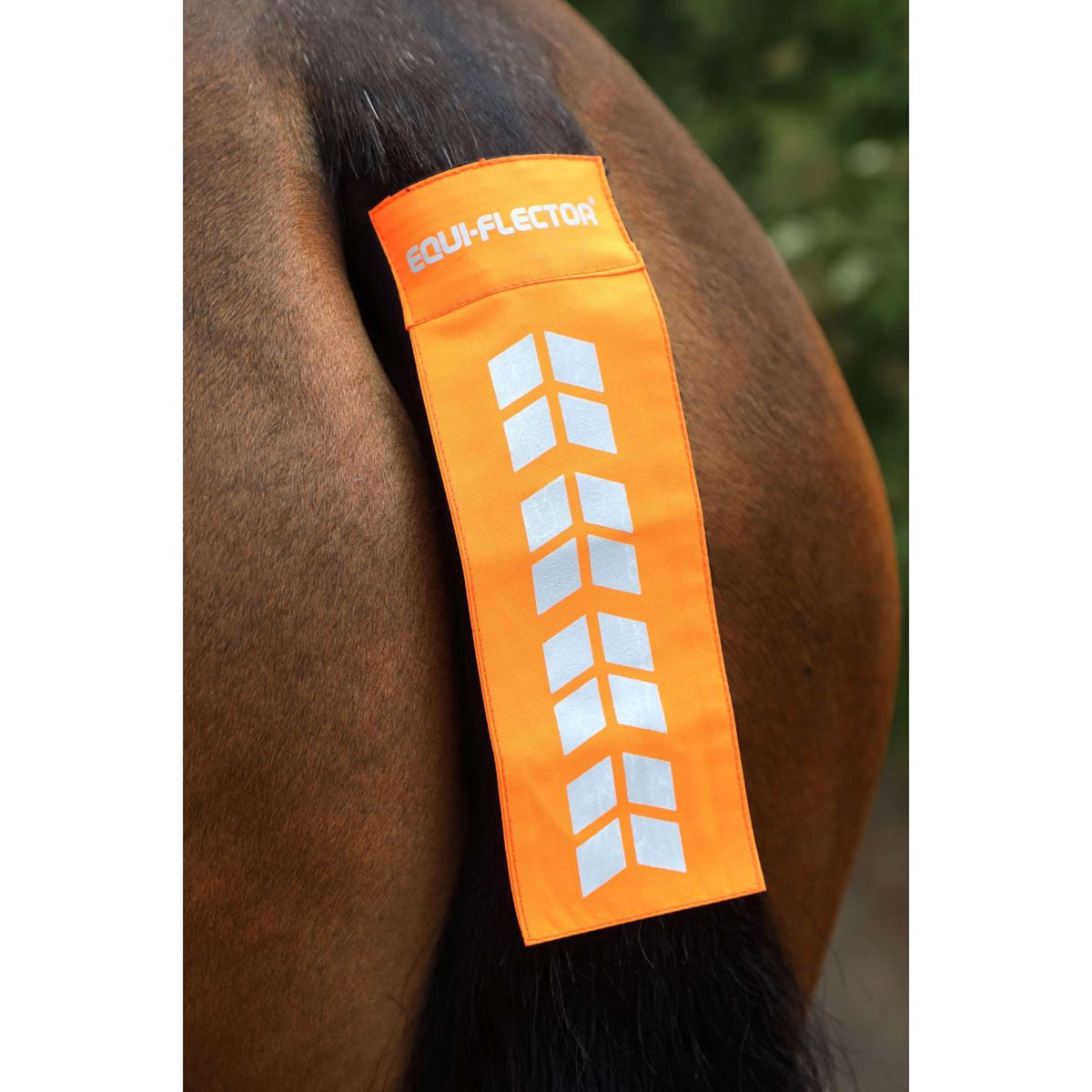 Equi-Flector by Shires Banda para Cola Mesh Reflectante Naranja