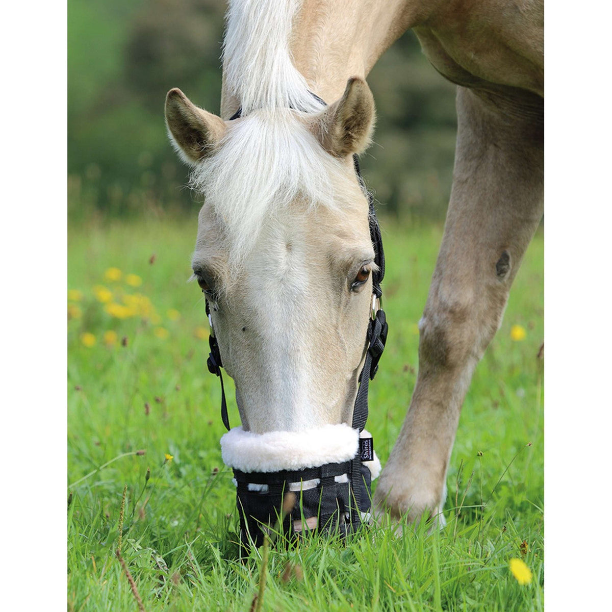 Shires Bozal de Pastoreo Deluxe Comfort Negro
