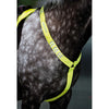 Equi-Flector by Shires Bonete para Orejas Reflectante Amarillo Fluor