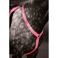 Equi-Flector by Shires Bonete para Orejas Reflectante Fluor Roze