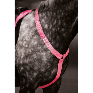 Equi-Flector by Shires Bonete para Orejas Reflectante Fluor Roze