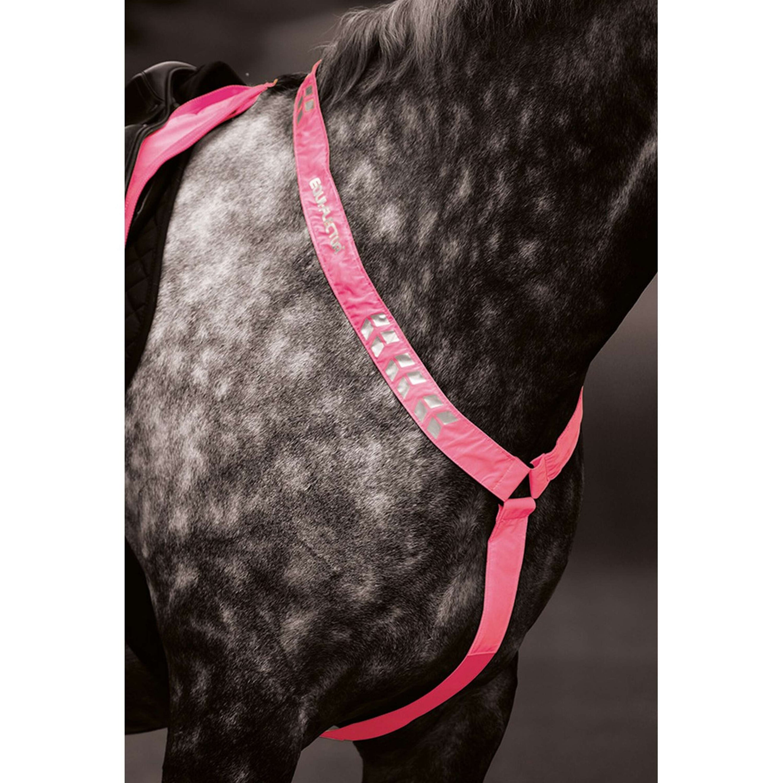 Equi-Flector by Shires Bonete para Orejas Reflectante Fluor Roze Equi-Flector by Shires Bonete para Orejas Reflectante Fluor Roze