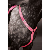 Equi-Flector by Shires Bonete para Orejas Reflectante Fluor Roze