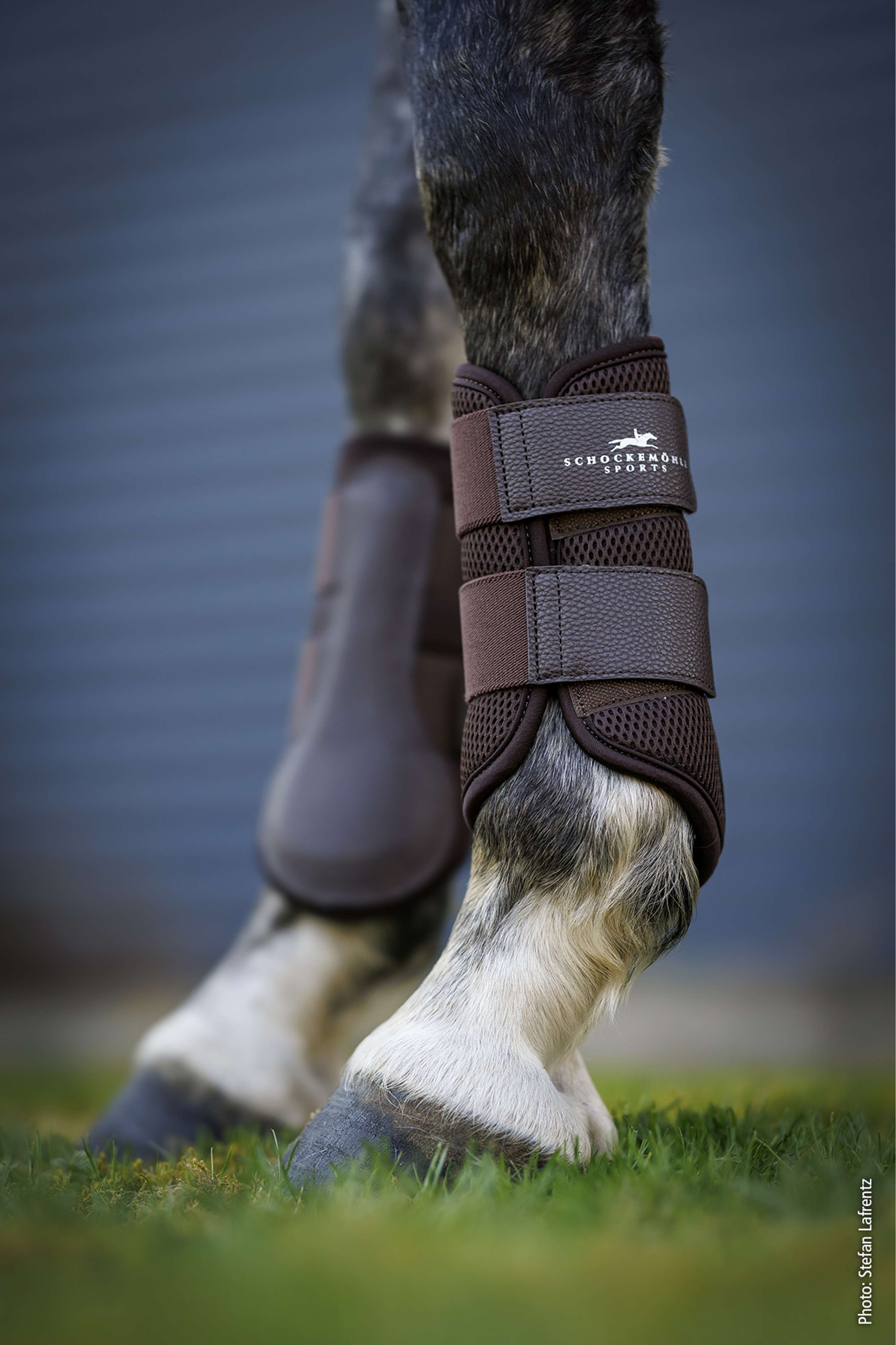 Schockemöhle Protectores de piernas Mesh Guards Mocca