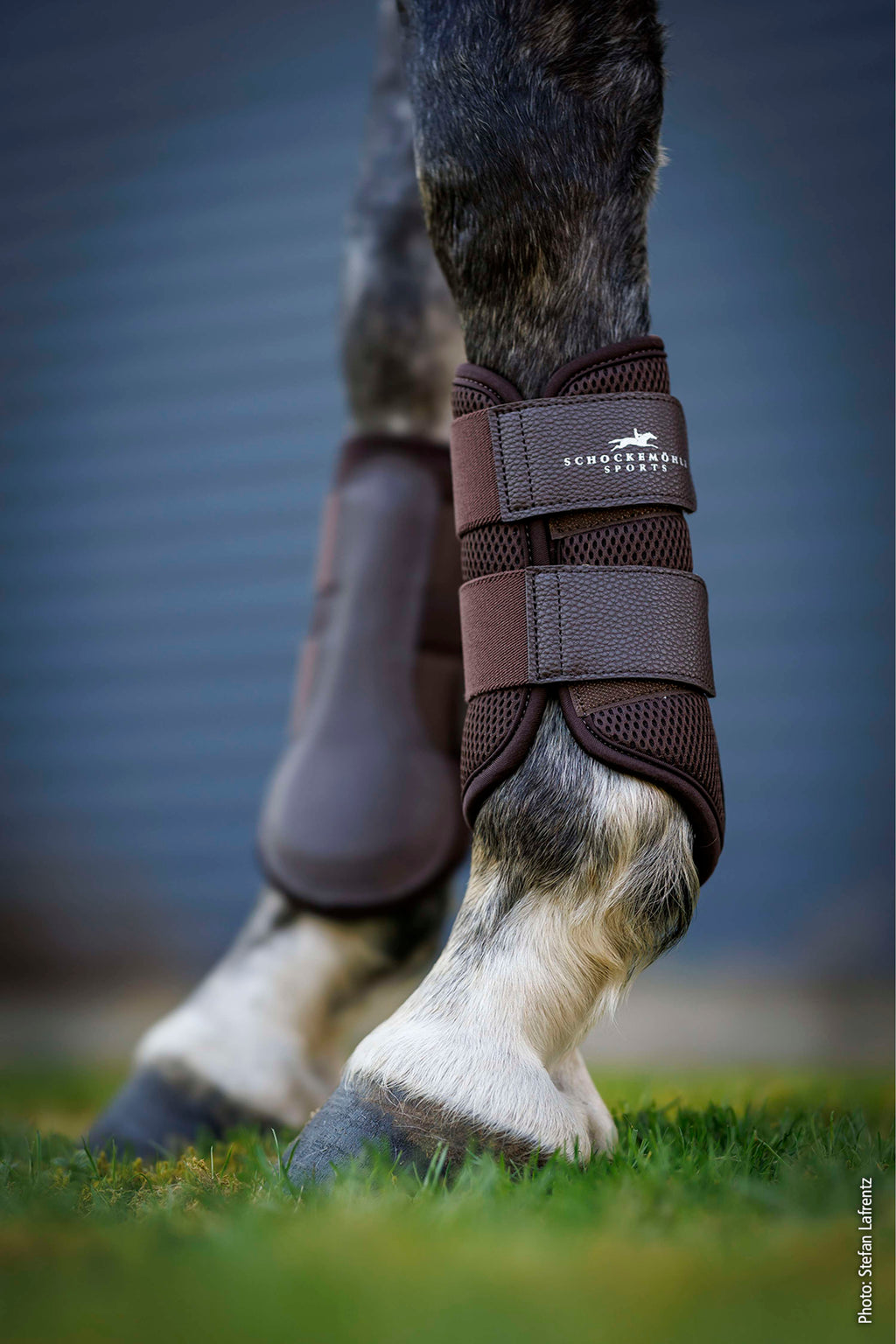 Schockemöhle Protectores de piernas Mesh Guards Mocca
