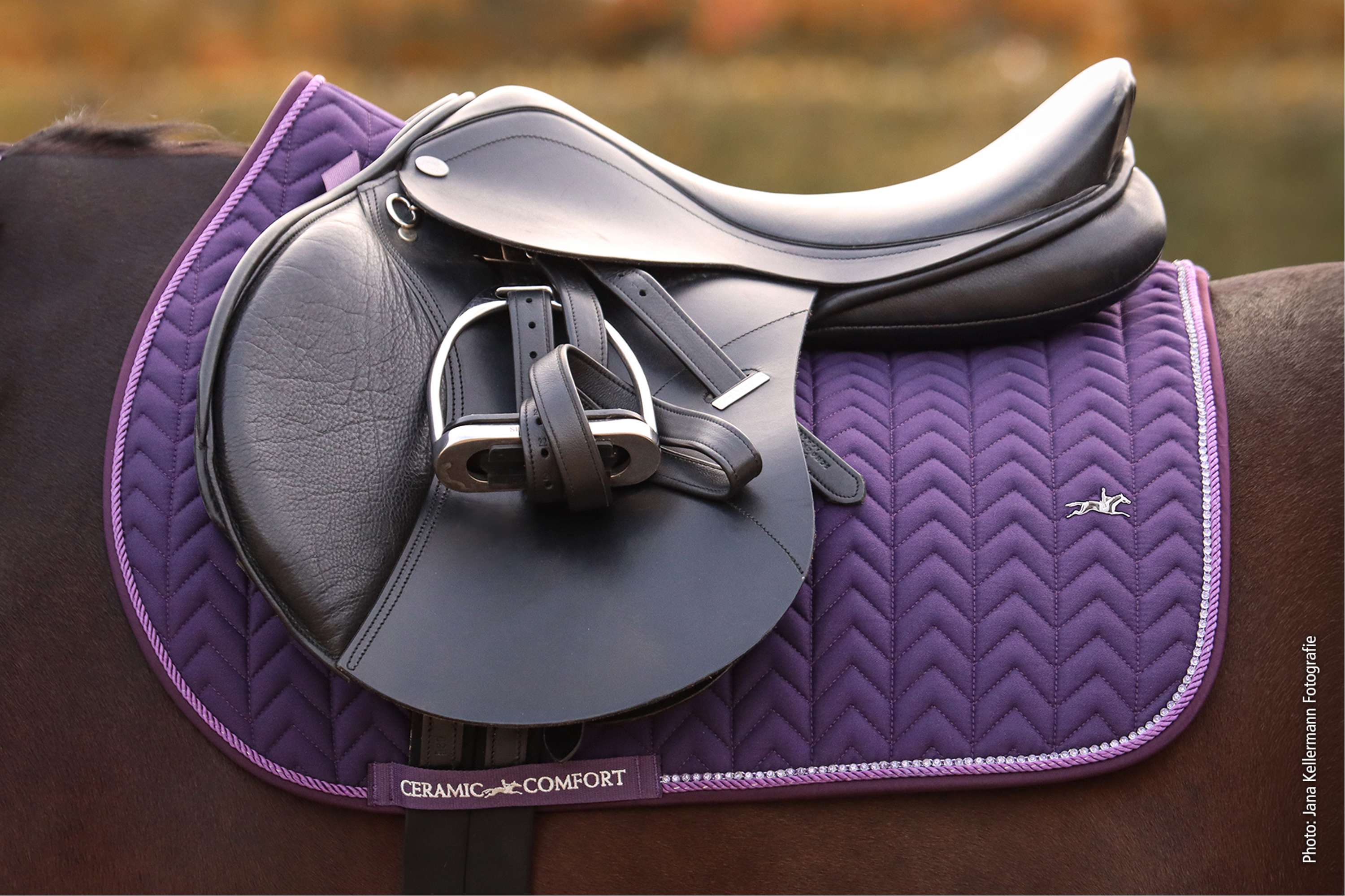 Schockemöhle Mantilla SPCeramica Saltando Morado Oscuro