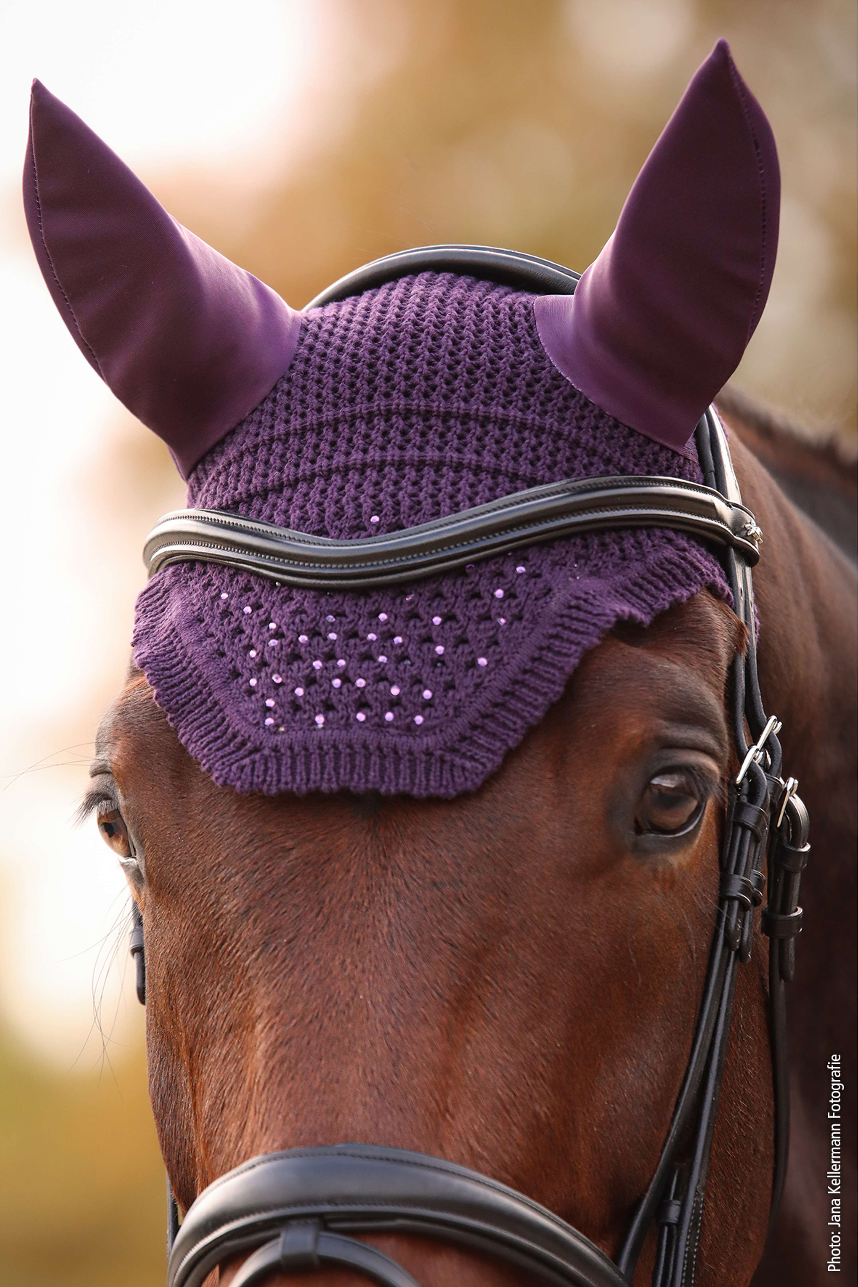 Schockemöhle Bonete para Orejas Elegant Spark Morado Oscuro