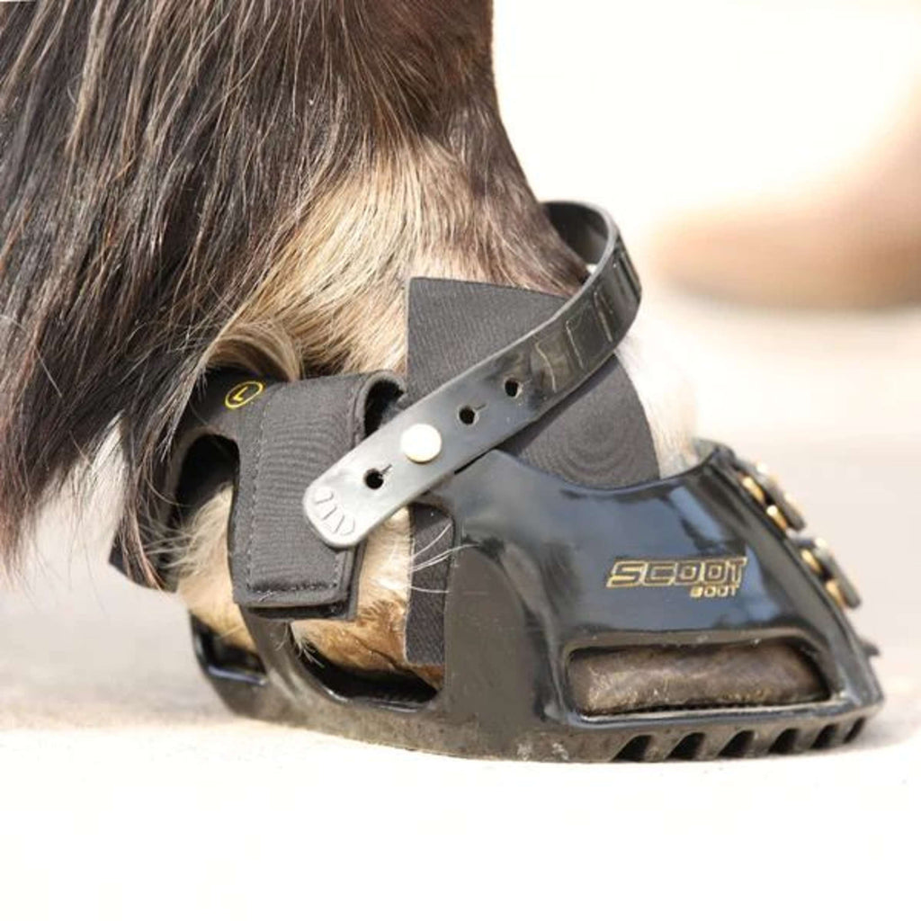 Scoot Boot Hybrid Gaiter Negro