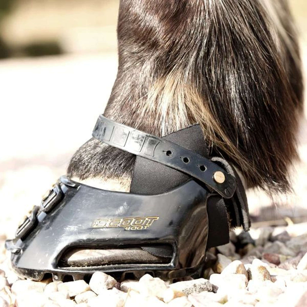 Scoot Boot Hybrid Gaiter Negro