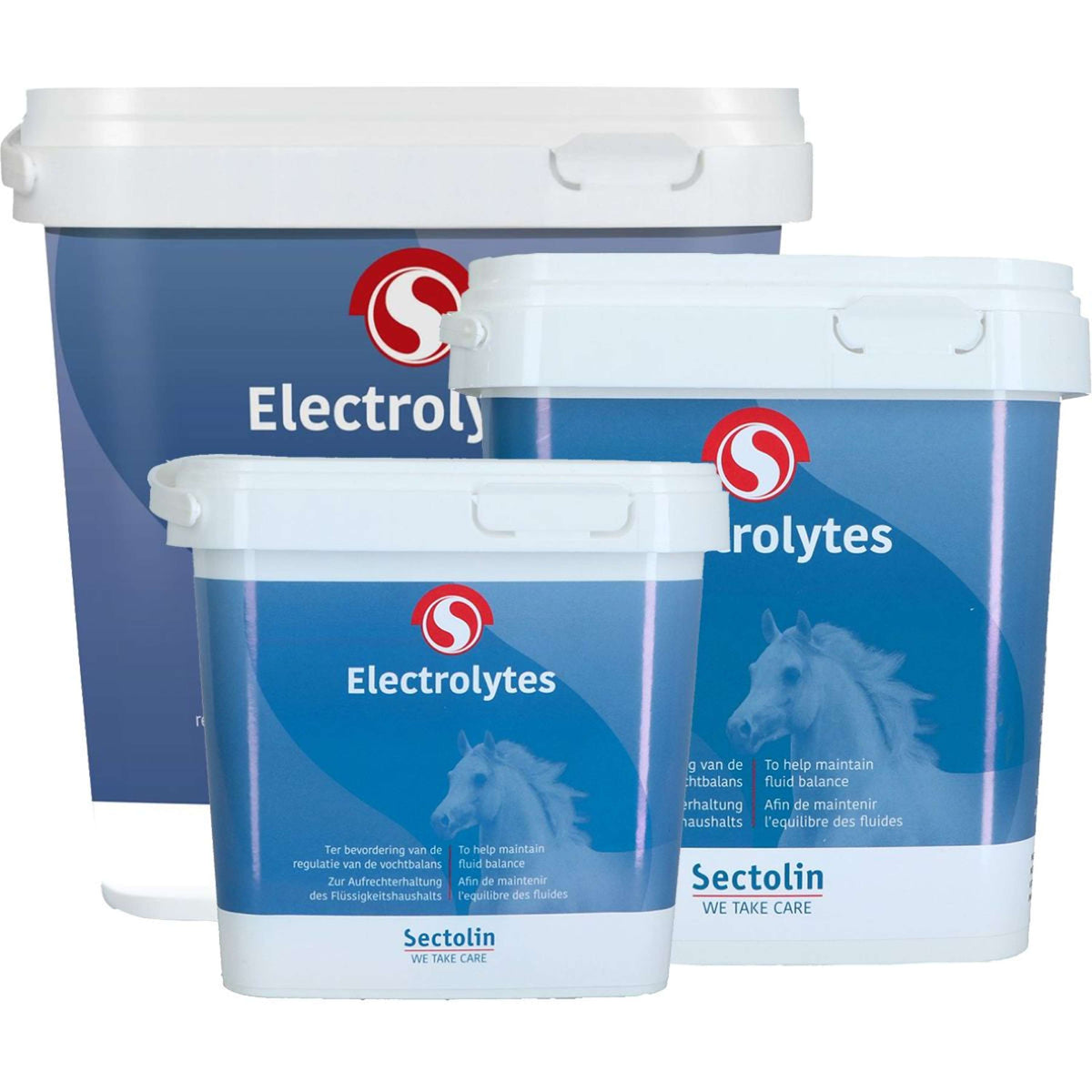Sectolin Electrolitos