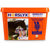 Horslyx Piedra de Lamer Original