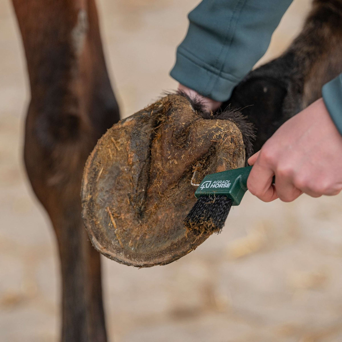 Agradi Horse Limpia Cascos Fir Green