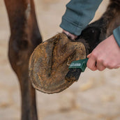 Agradi Horse Limpia Cascos Fir Green