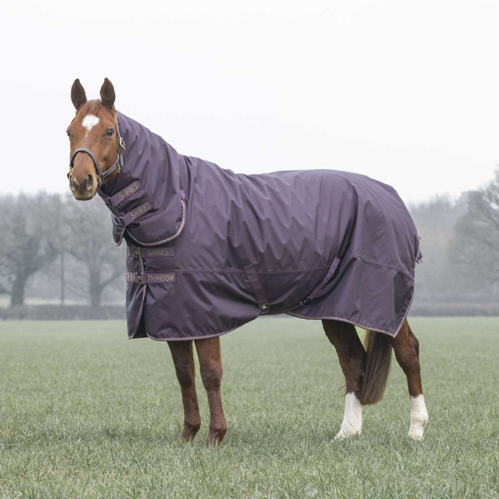 Tempest by Shires Manta de Invierno Turnout Typhoon 100g Black Cherry