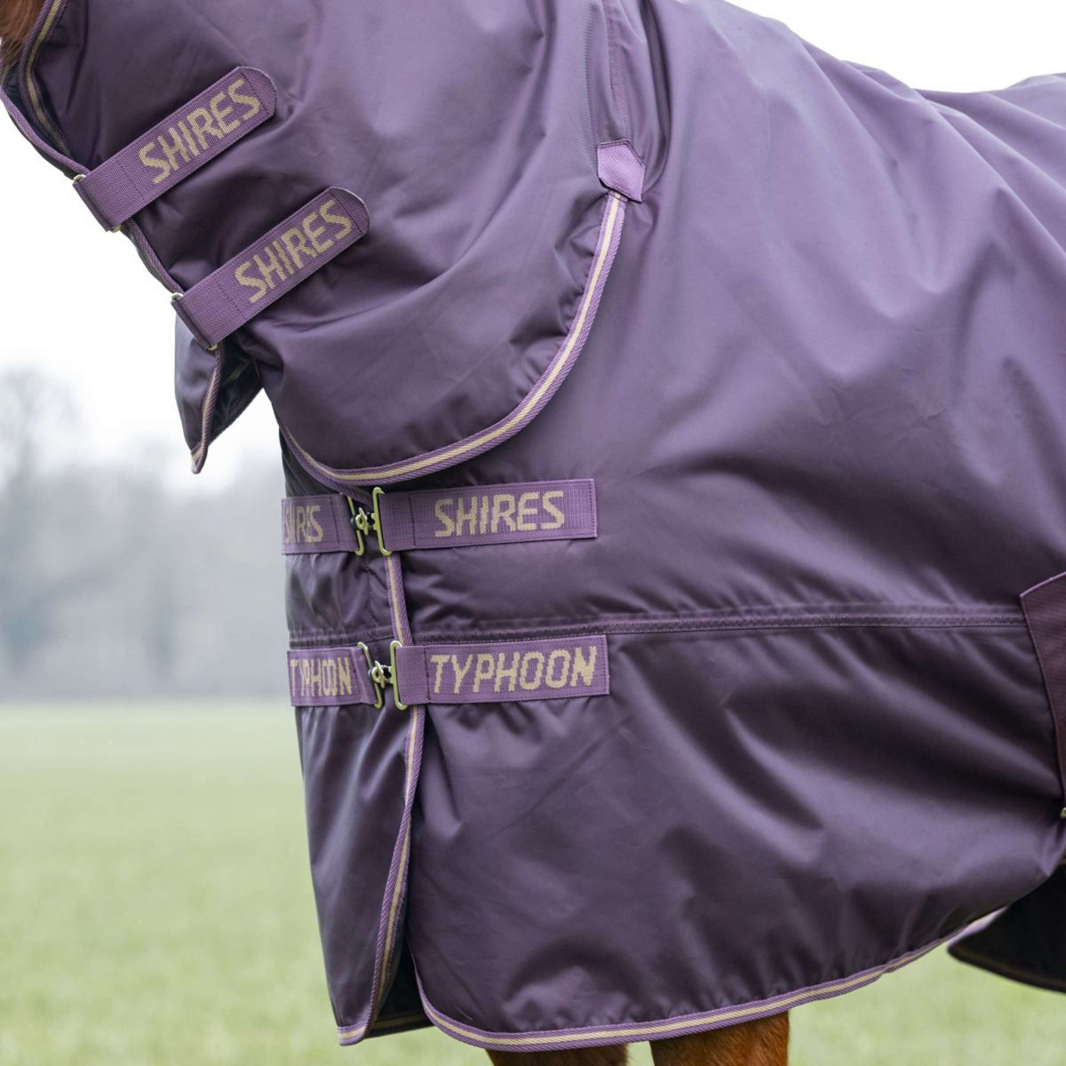 Tempest Manta de Invierno Turnout Typhoon 100g Black Cherry