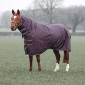 Tempest Manta de Invierno Turnout Typhoon 100g Black Cherry