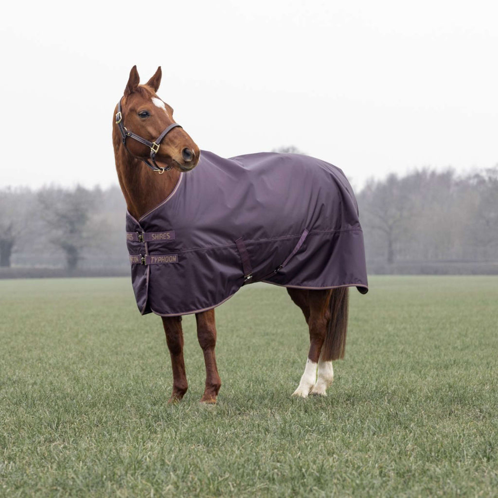Tempest by Shires Manta de Invierno Turnout Typhoon 100g Black Cherry
