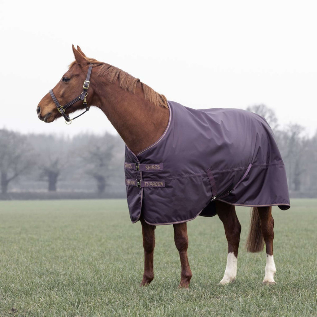 Tempest by Shires Manta de Invierno Turnout Typhoon 100g Black Cherry