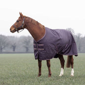 Tempest Manta de Invierno Turnout Typhoon 100g Black Cherry