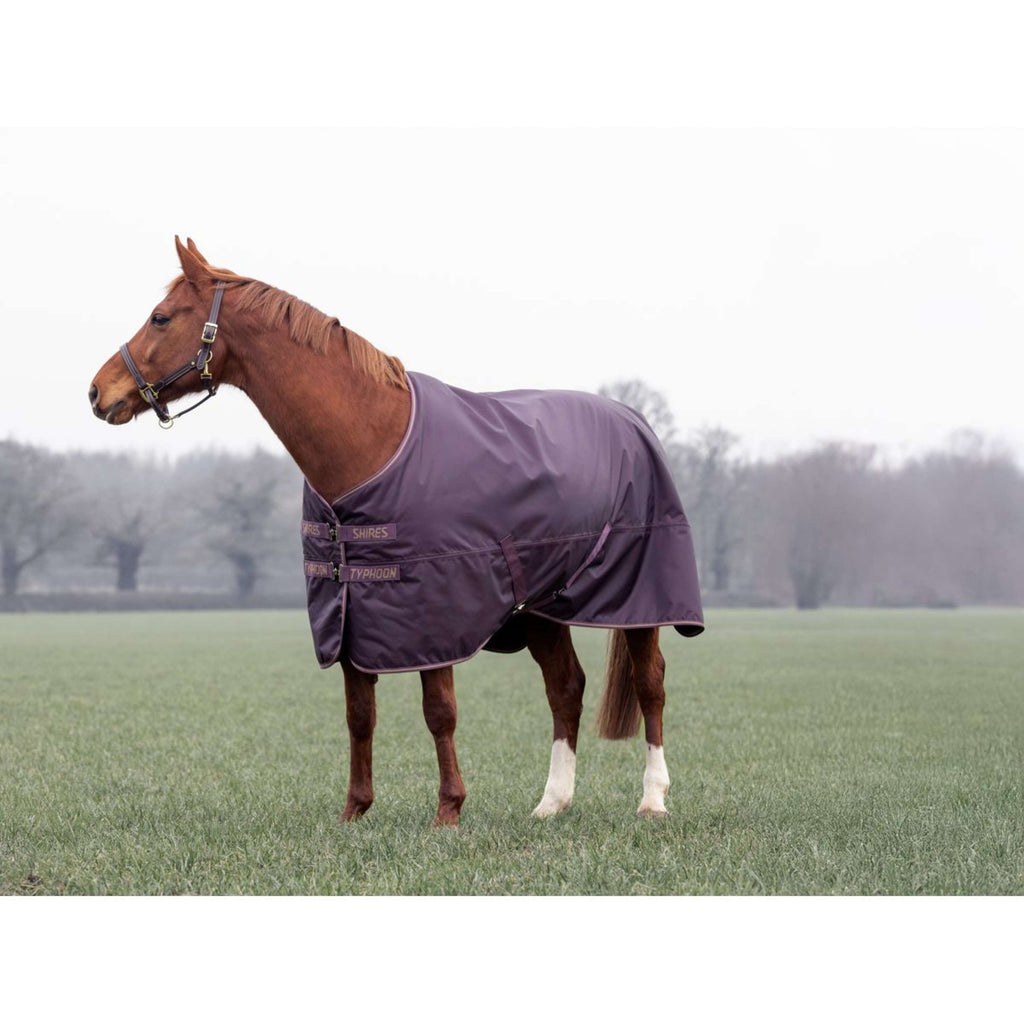 Tempest by Shires Manta de Invierno Turnout Typhoon 100g Black Cherry
