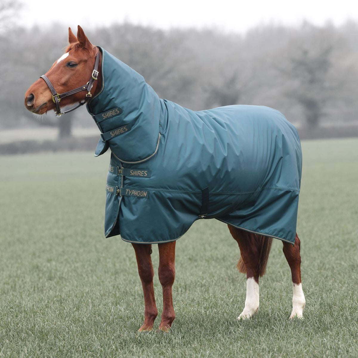 Tempest Manta de Invierno Turnout Typhoon Combo 200g Verde