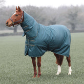 Tempest Manta de Invierno Turnout Typhoon Combo 200g Verde