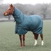 Tempest Manta de Invierno Turnout Typhoon Combo 200g Verde