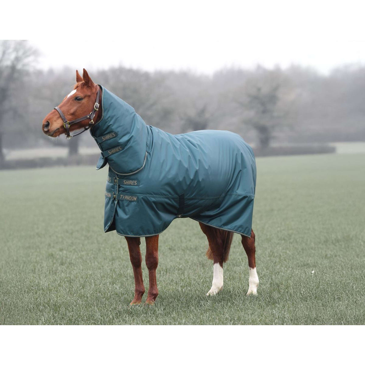 Tempest Manta de Invierno Turnout Typhoon Combo 200g Verde