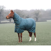 Tempest Manta de Invierno Turnout Typhoon Combo 200g Verde
