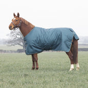 Tempest Manta de Invierno Turnout Typhoon 200g Verde