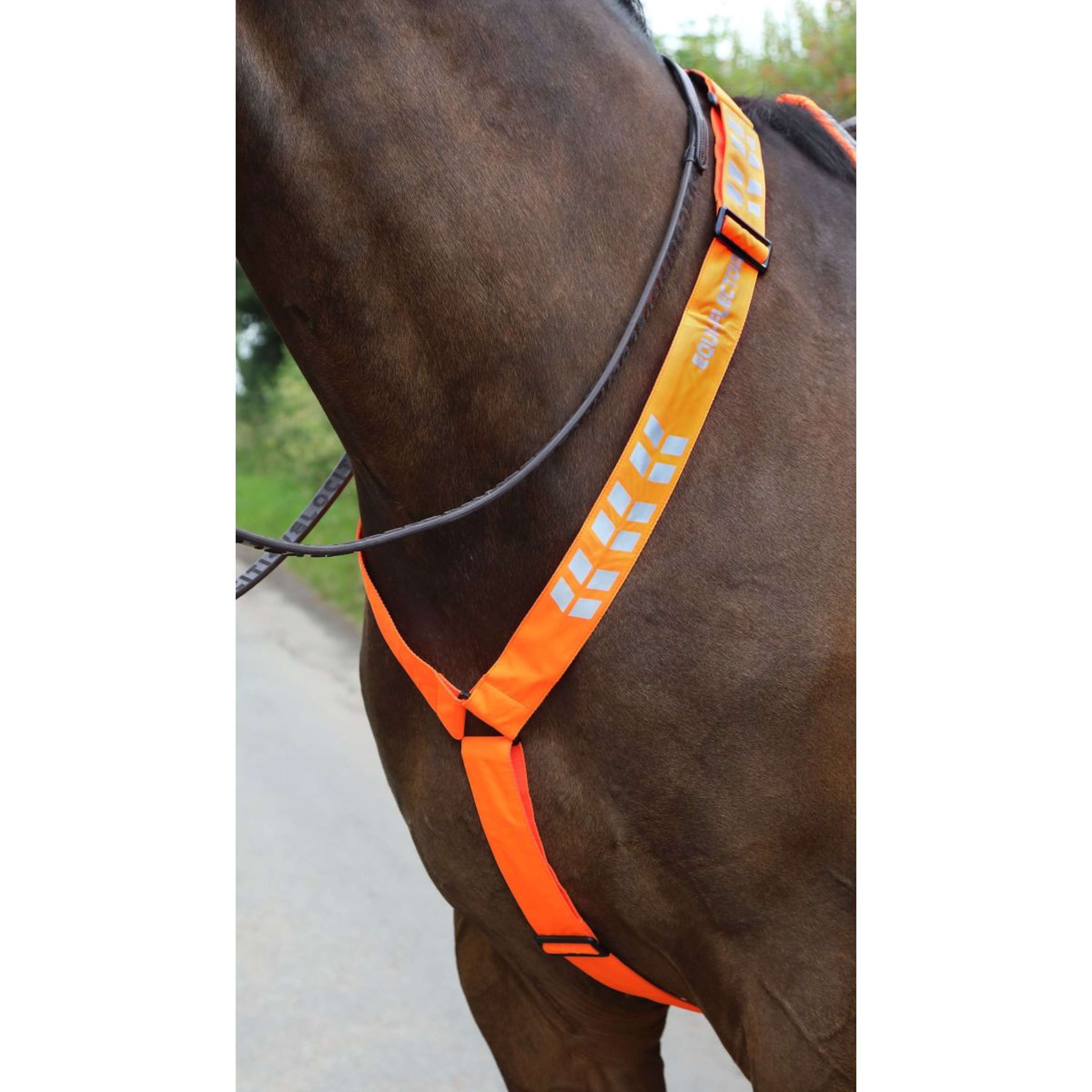 Equi-Flector by Shires Tirante Frontal Reflectante Naranja Equi-Flector by Shires Tirante Frontal Reflectante Naranja