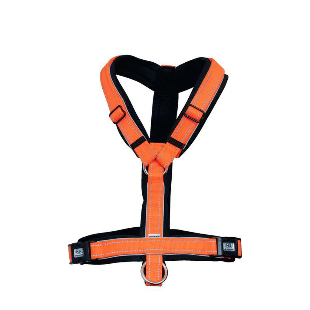 Sprenger Arnés para Potro Naranja