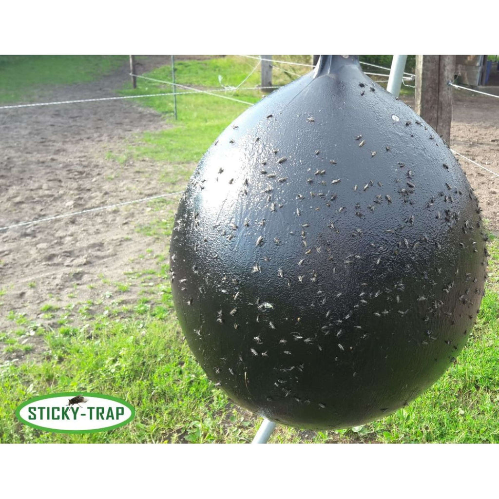 Sticky Trap Pelota