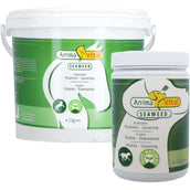 Animavital Alga marina