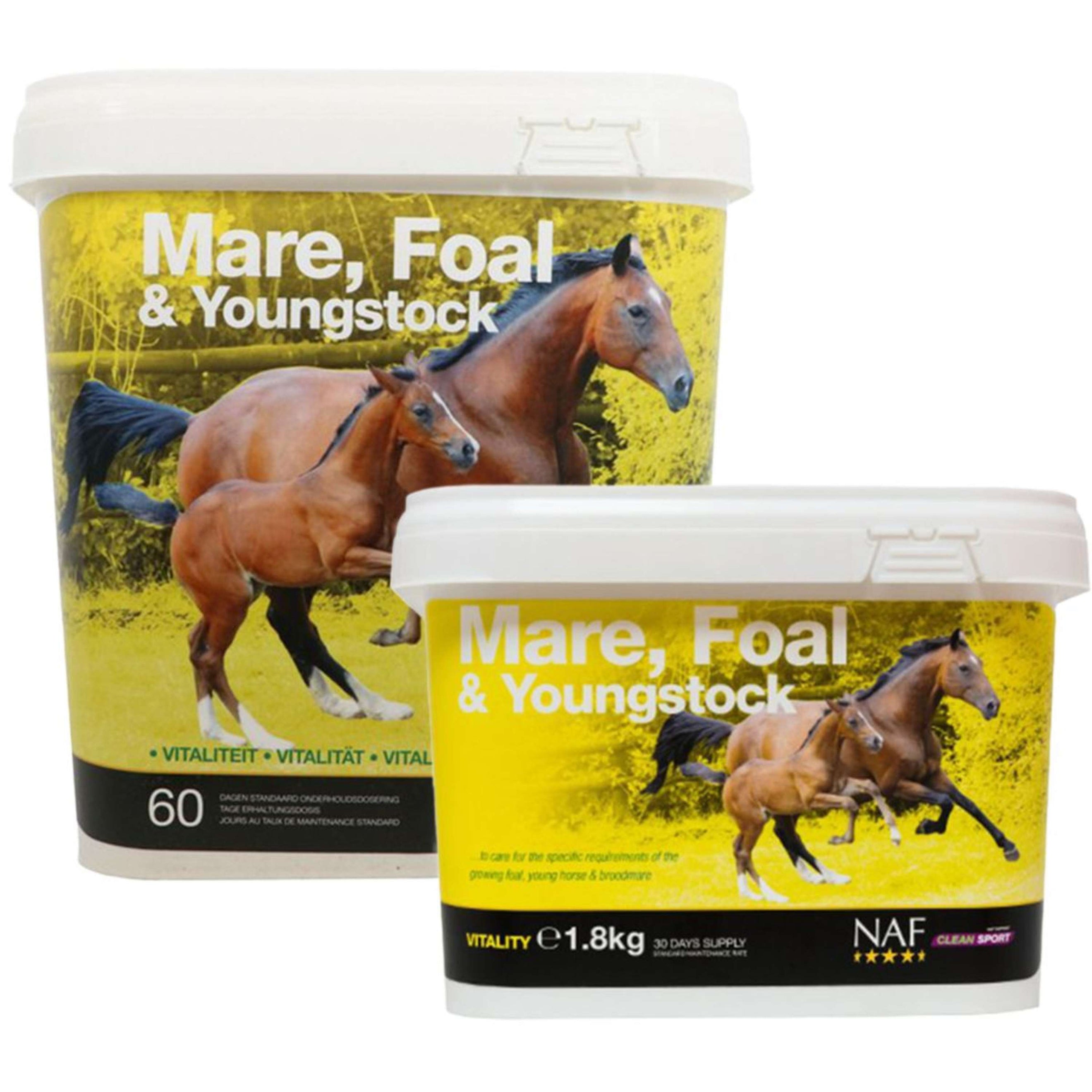 NAF Mare Foal & Youngstock NAF Mare Foal & Youngstock