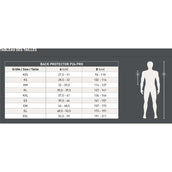 Swing Protector de Espalda P24 Flex Negro