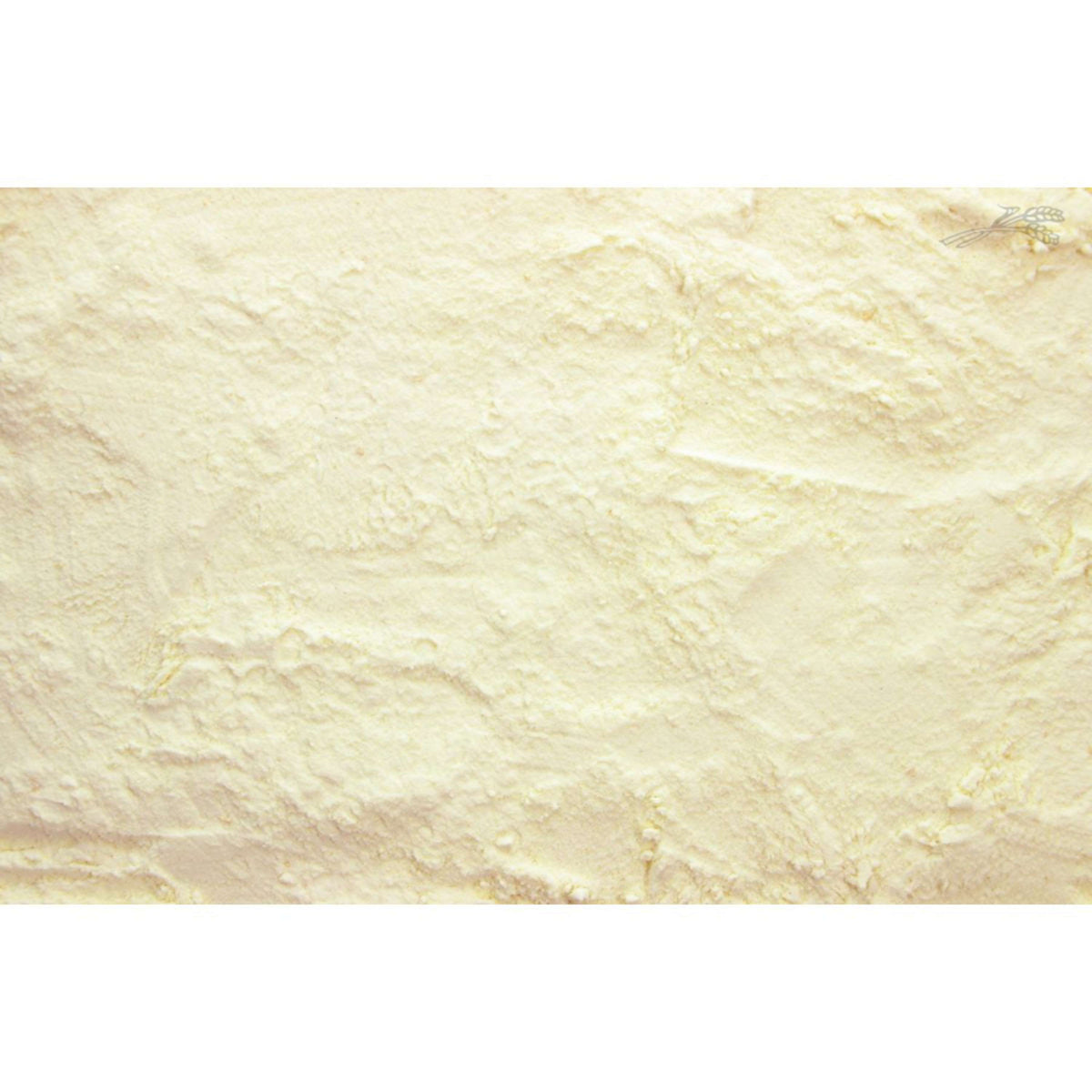 Tijssen Leche en Polvo para Corderos