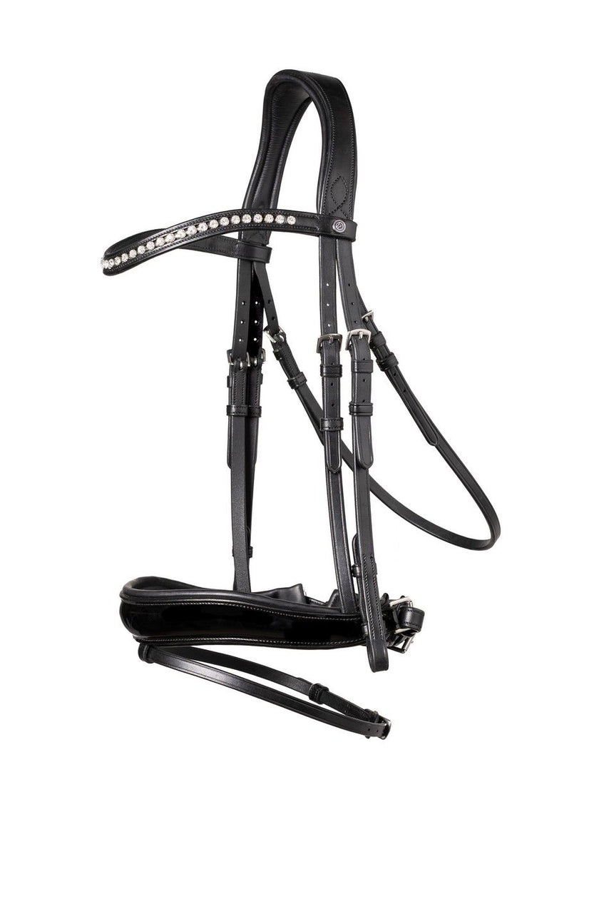 Trust Brida Rotterdam Negro/Plata