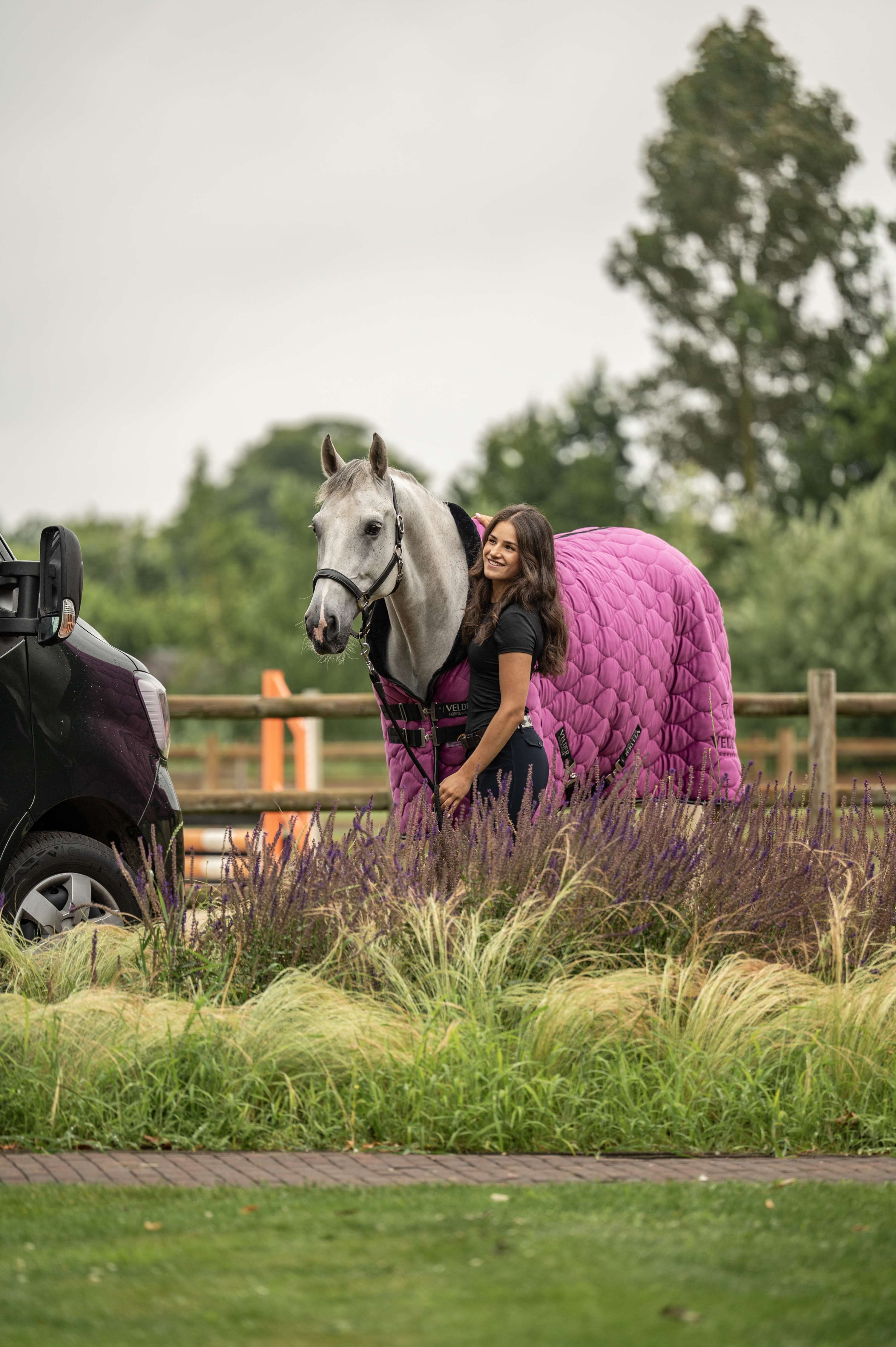 Velder Horsewear Premium Manta de exhibición Satin Glow Dutch Raspberry