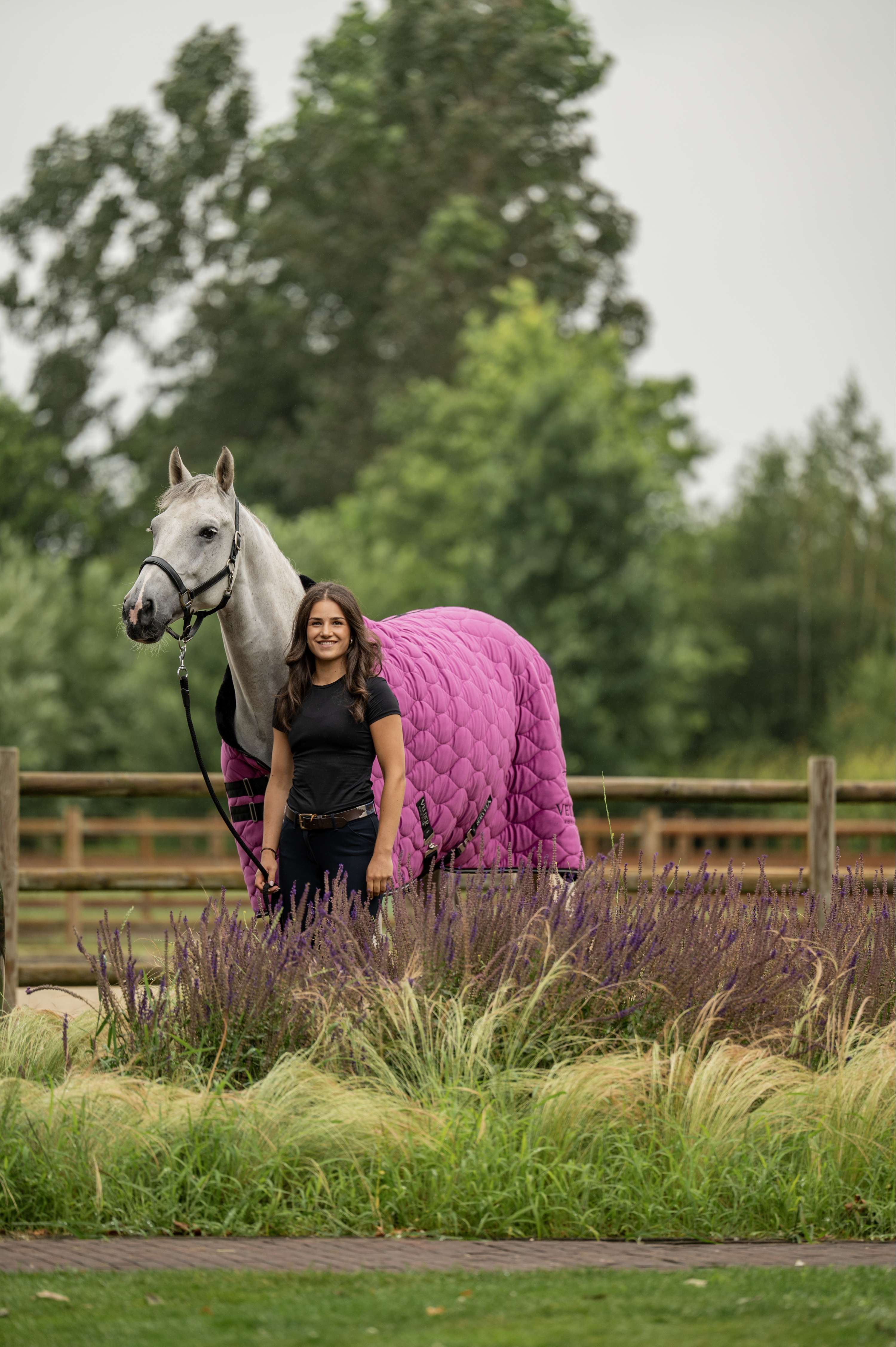 Velder Horsewear Premium Manta de exhibición Satin Glow Dutch Raspberry