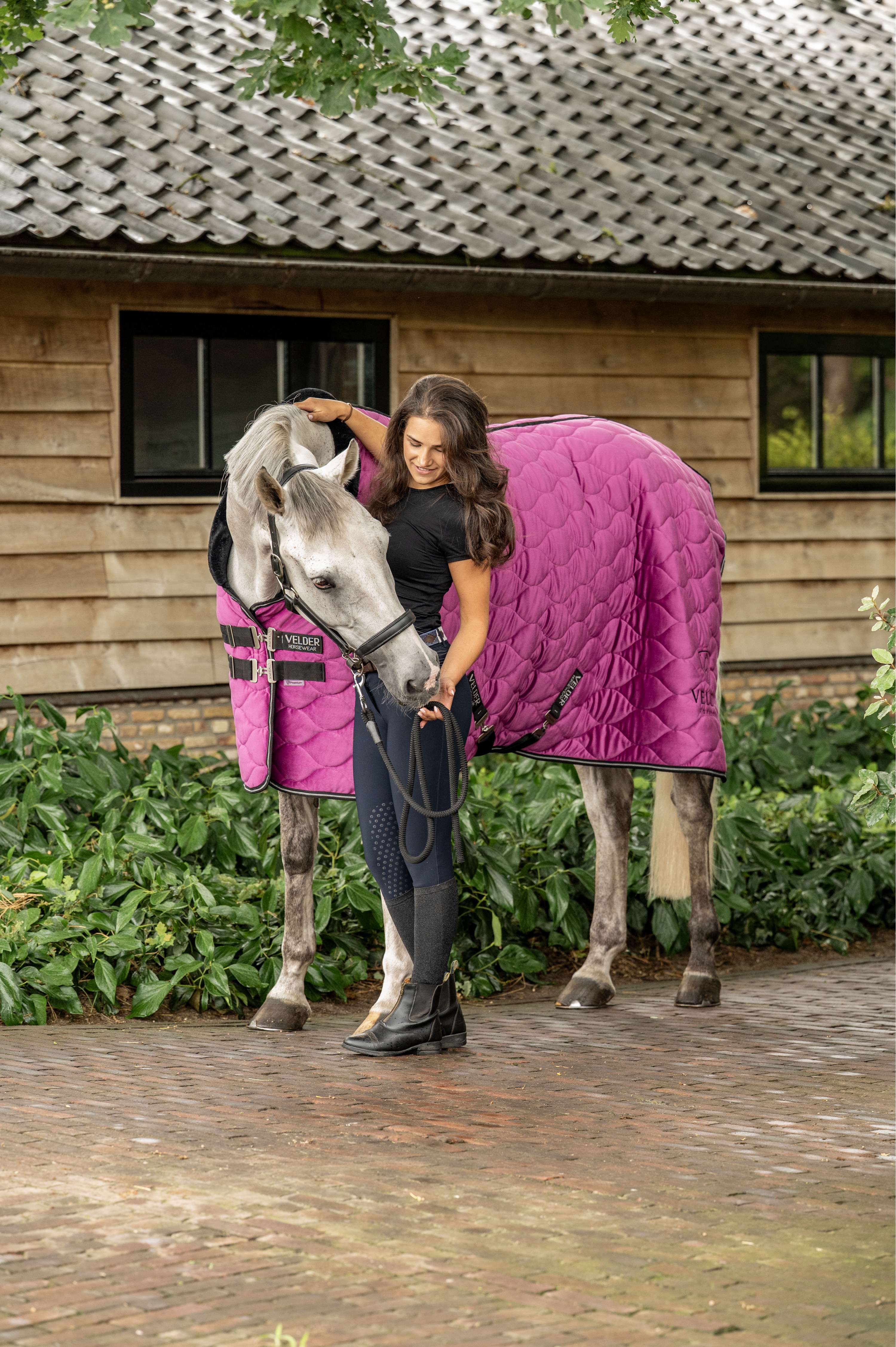 Velder Horsewear Premium Manta de exhibición Satin Glow Dutch Raspberry