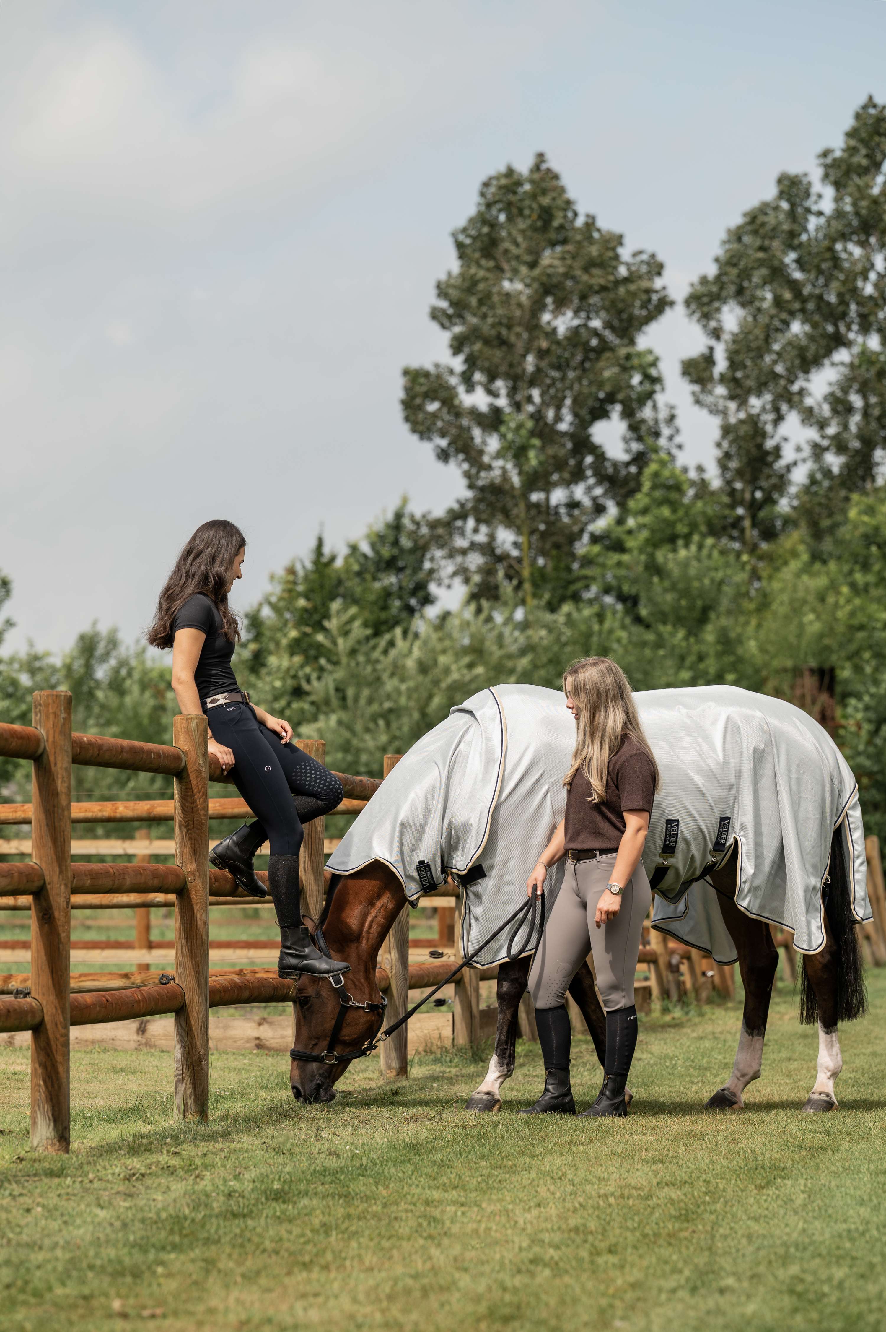 Velder Horsewear Premium Manta Antimoscas Pearl Grey