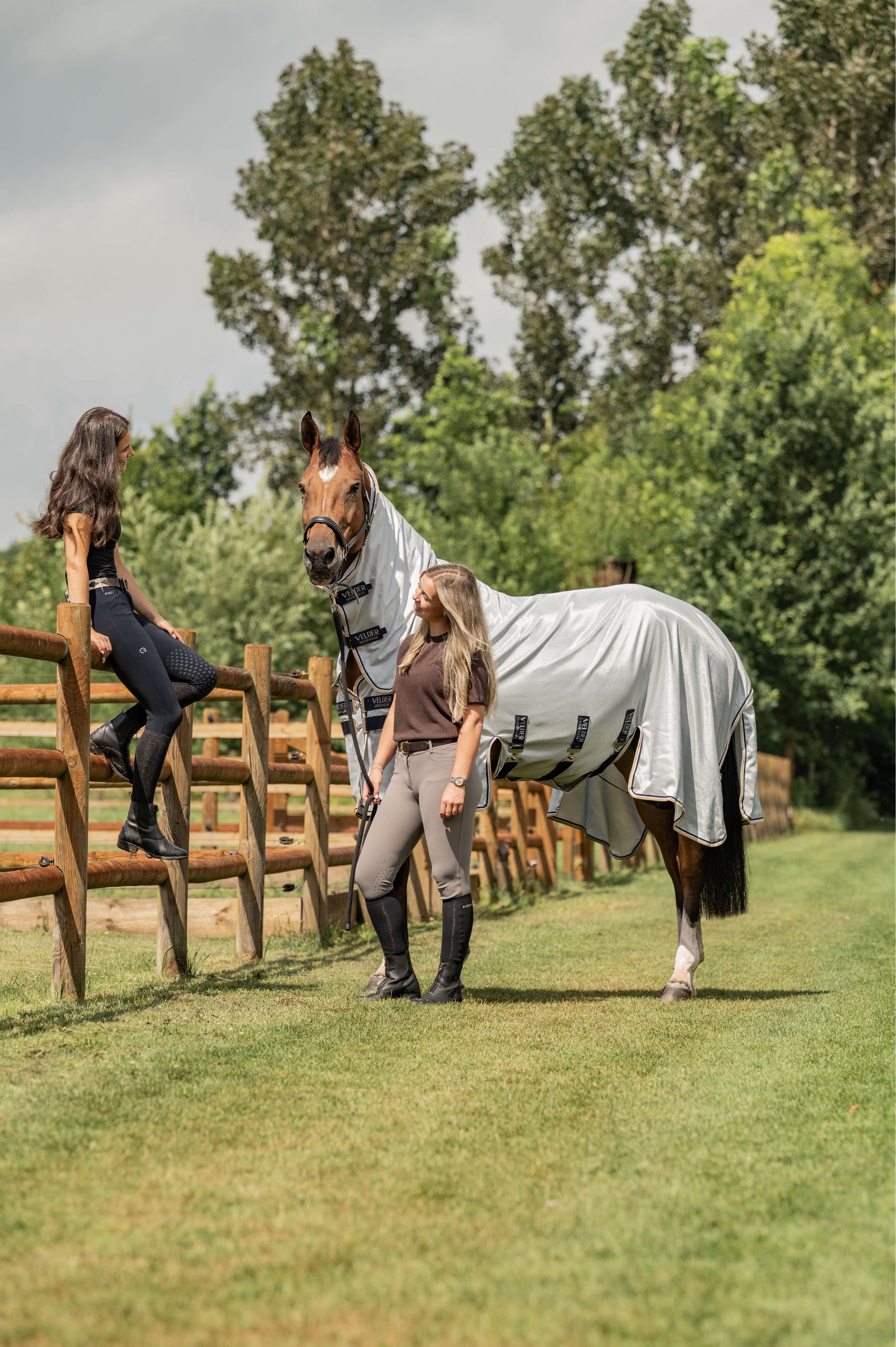 Velder Horsewear Premium Manta Antimoscas Pearl Grey