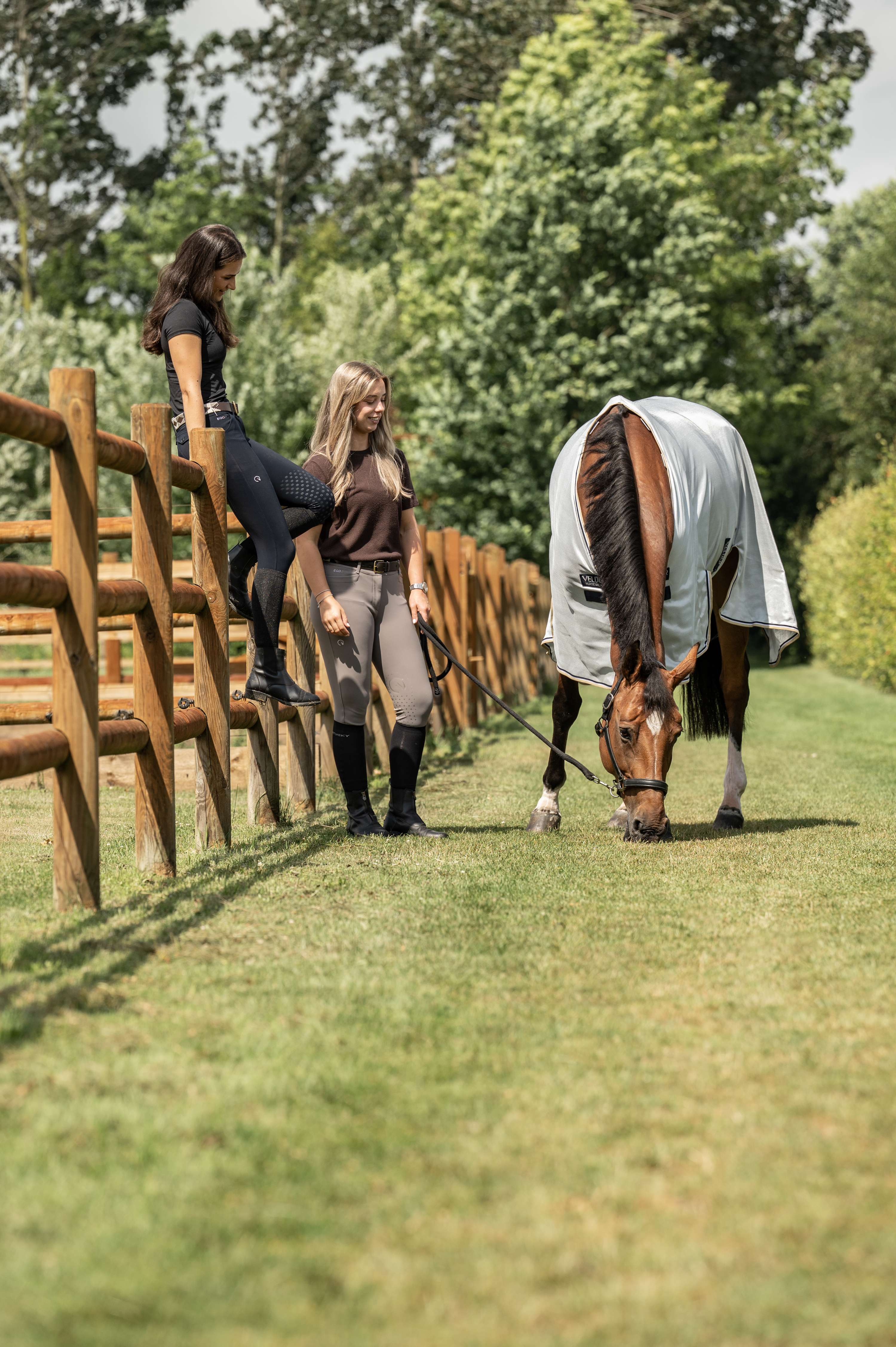 Velder Horsewear Premium Manta Antimoscas Pearl Grey
