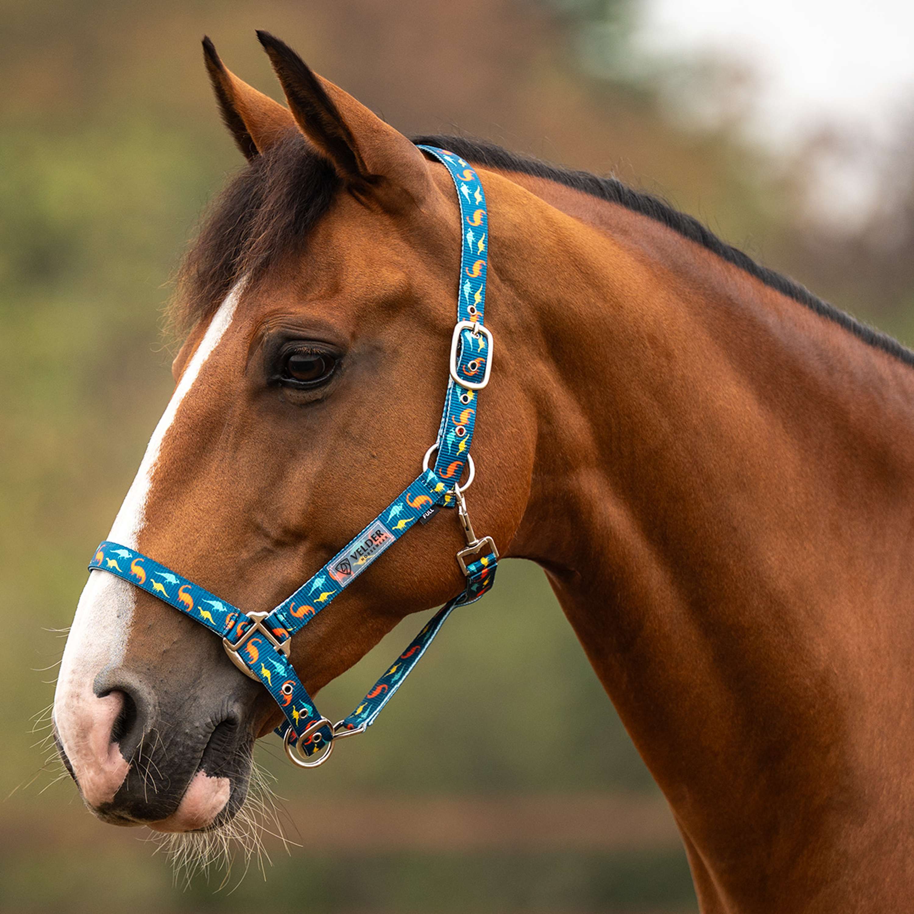 Velder Horsewear Essentials Cabestro Dino Azul/Naranja
