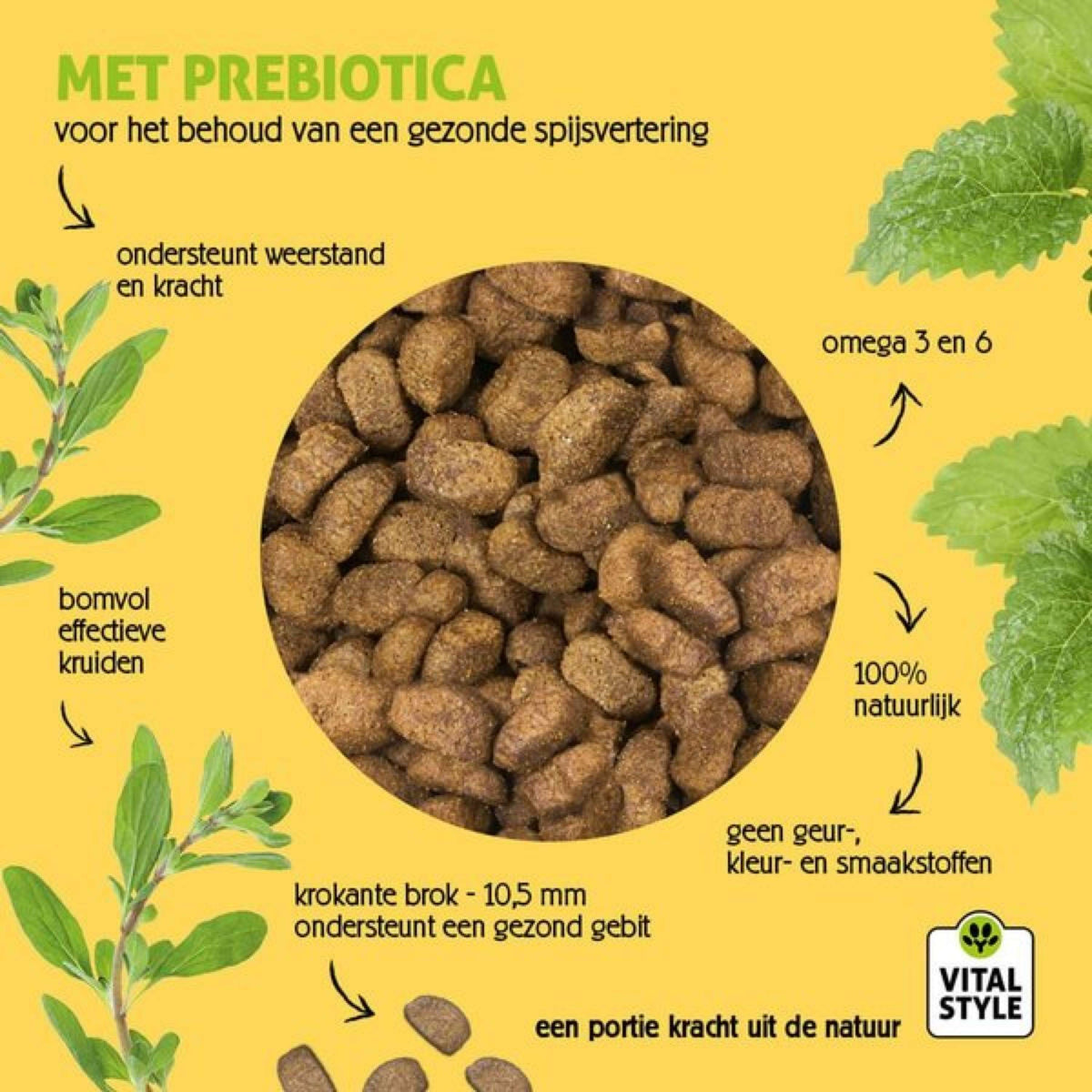 Vitalstyle Perro Adult