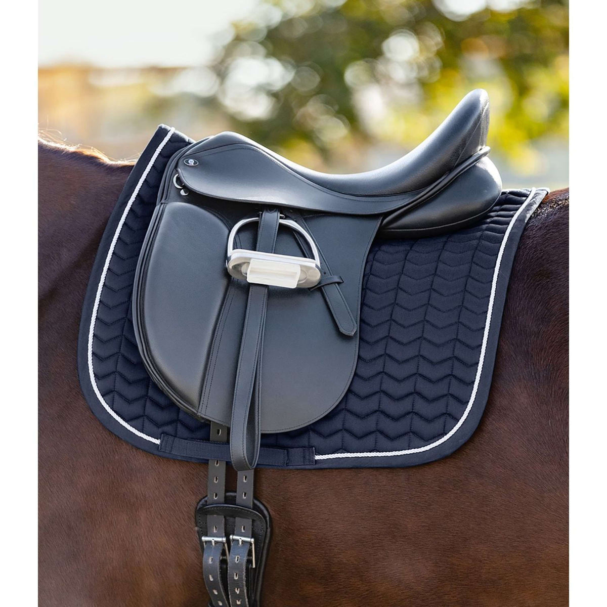 Waldhausen Mantilla Classic Doma Azul noche/Blanco