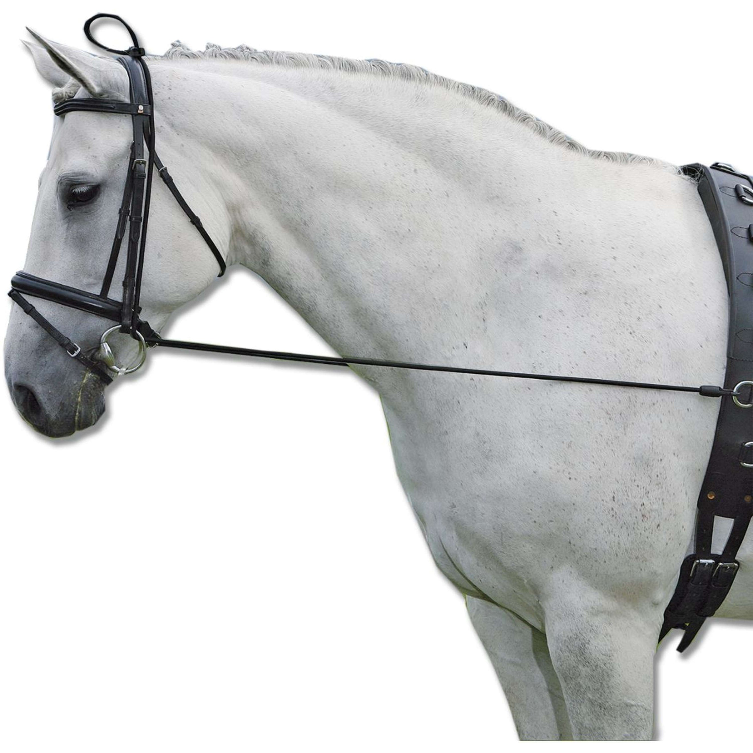 Waldhausen Extensor de cuello Elastisch Negro