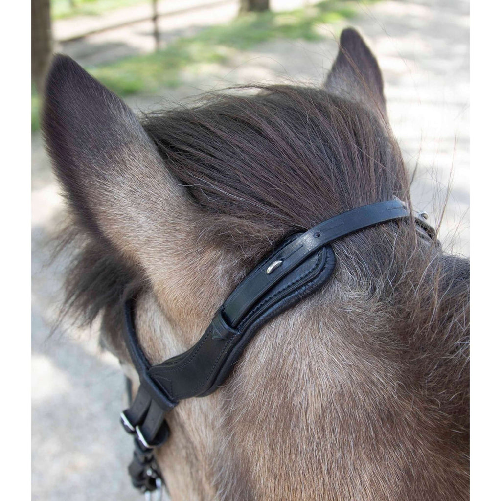 Waldhausen Brida Islandesa Anatomic Negro