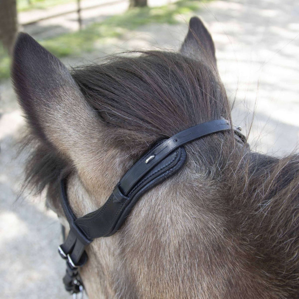 Waldhausen Brida Islandesa Anatomic Negro